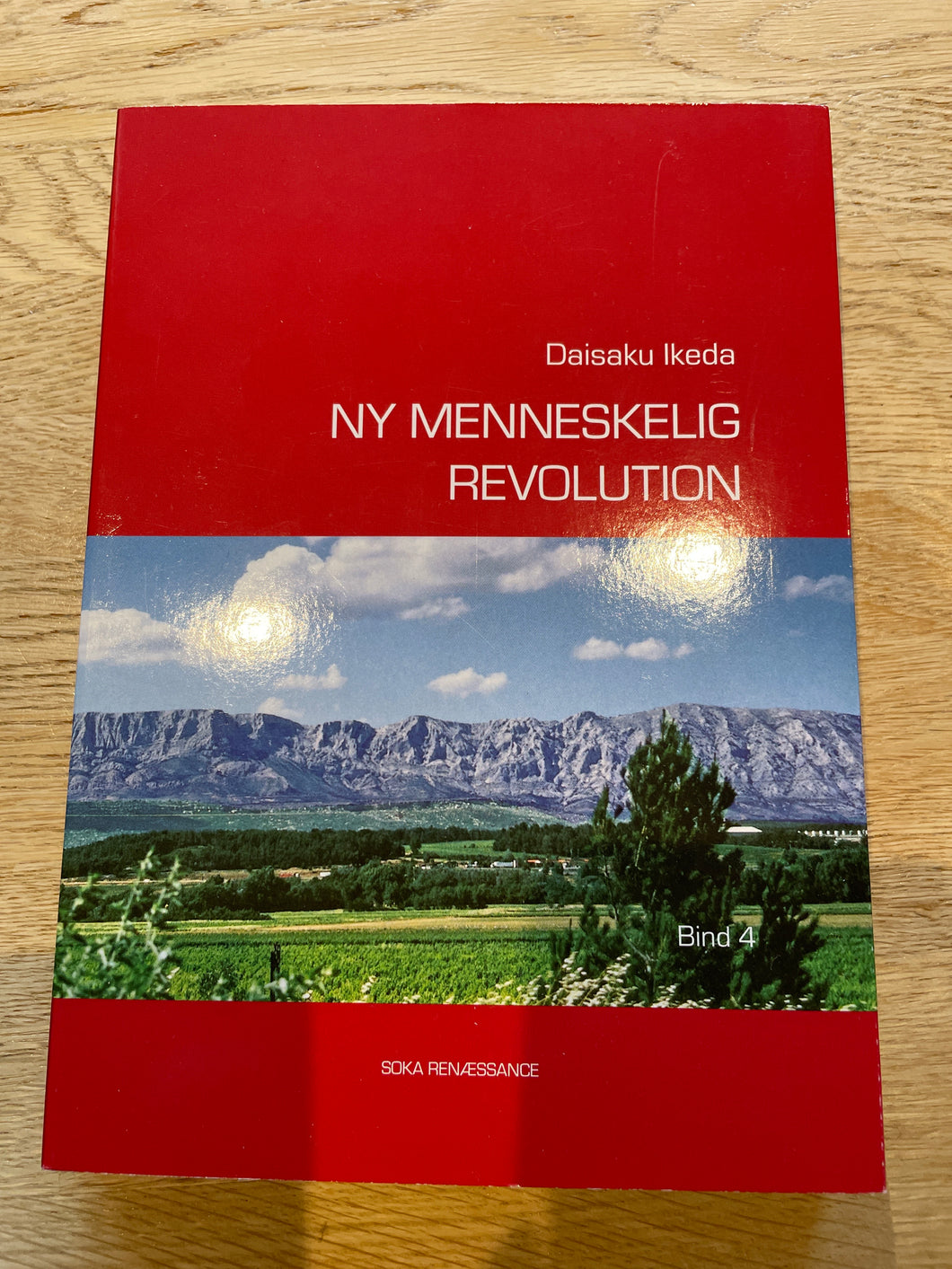 Ny Menneskelig Revolution Vol. 4