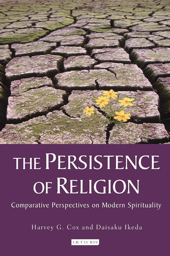 The Persistence of Religion - Comparative Perspectives on Modern Spirituality
