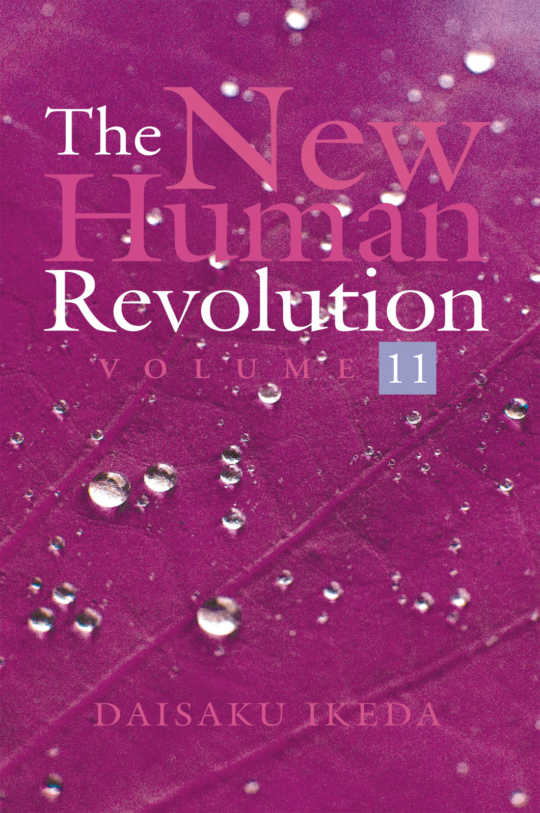 The New Human Revolution Vol 11