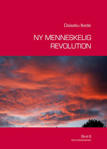 Ny Menneskelig Revolution Vol. 6