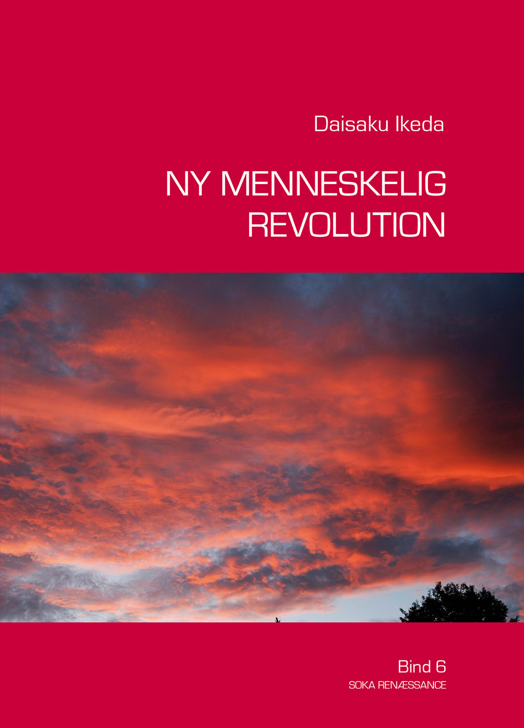 Ny Menneskelig Revolution Vol. 6